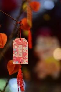 sâm lốc di động 8Day